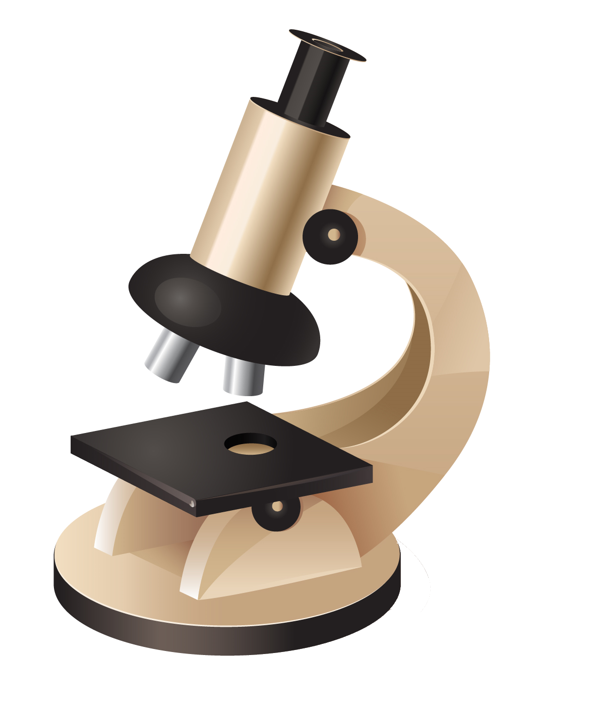 Focus Scrutiny Microscope Searchlight Objects PNG