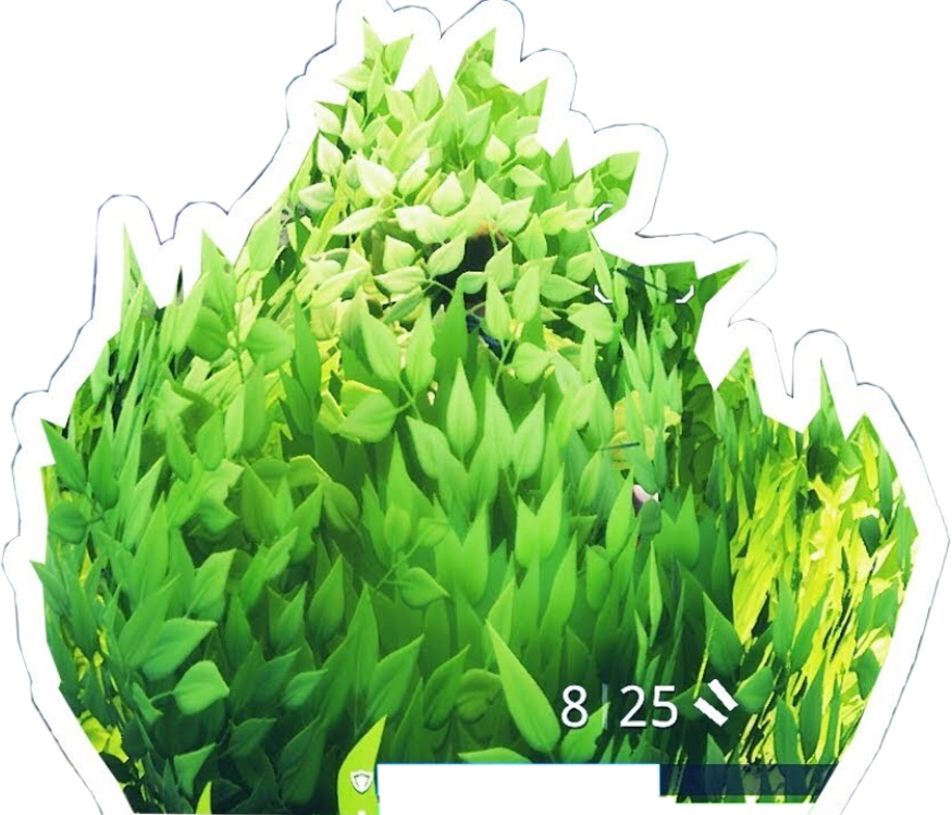 Battle Vegetable Fortnite Twitch Grass PNG