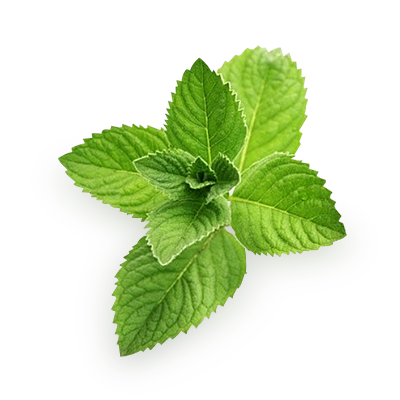 Nutrition Funny Mint Taffy Fortune PNG