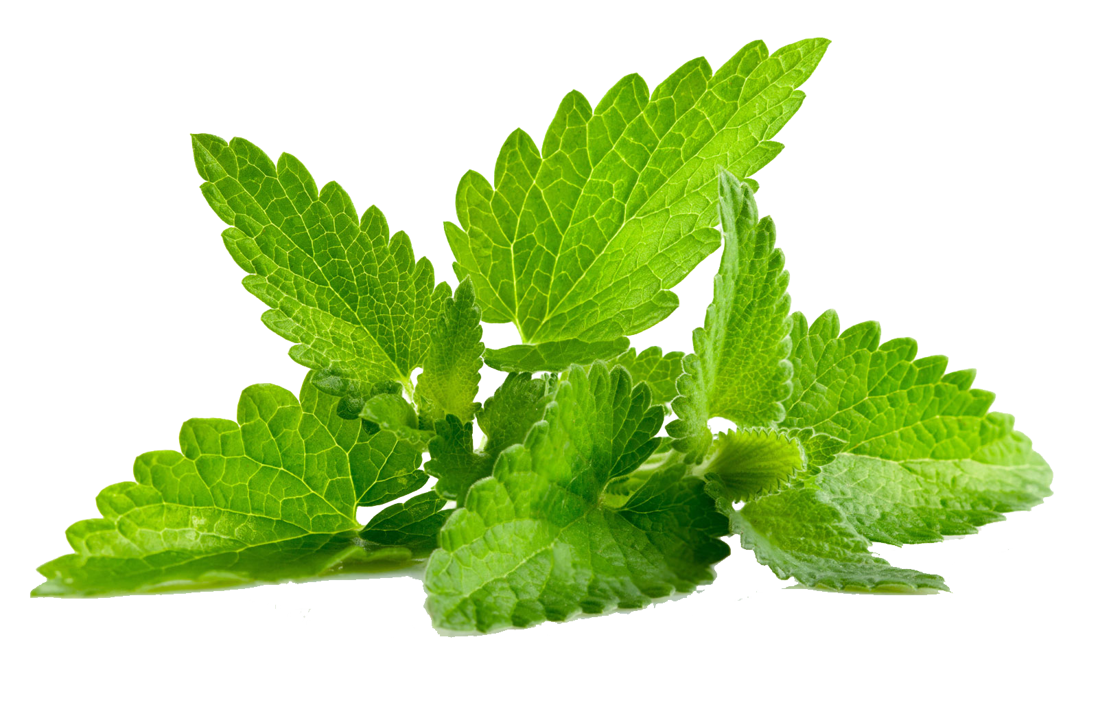 Fruit Taffy Eating Mint Perfect PNG