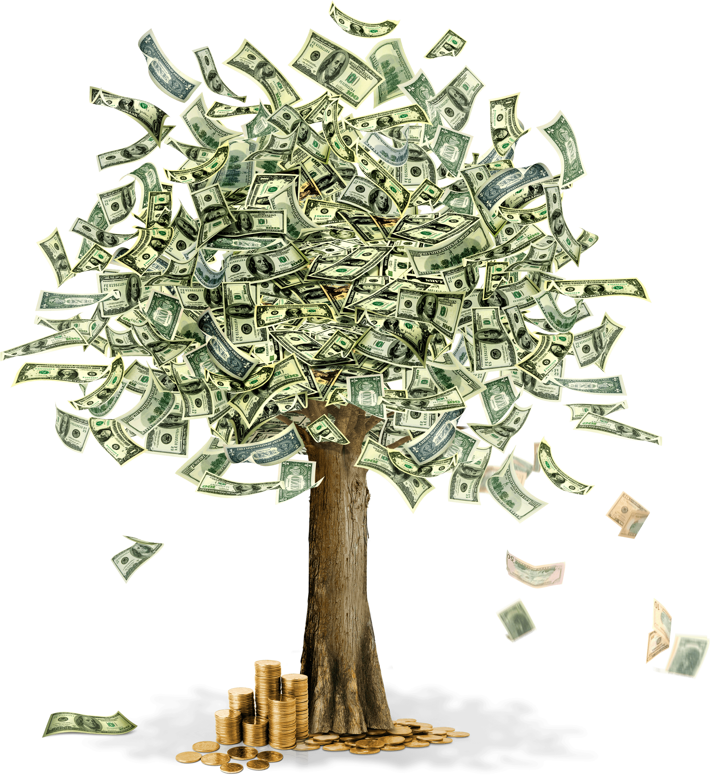 Borrowing Holdings Banknote Tree Bank PNG