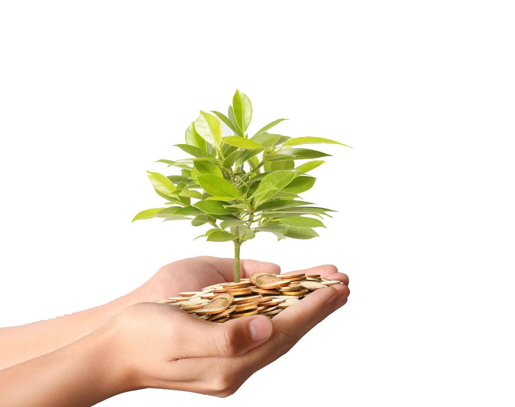 Investment Wash Money Flowerpot Photography PNG