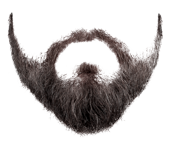 Moustache Fashionable PNG