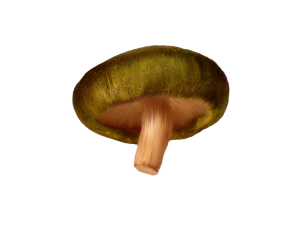 Pathogen Broccoli Yummy Carbs Mushroom PNG