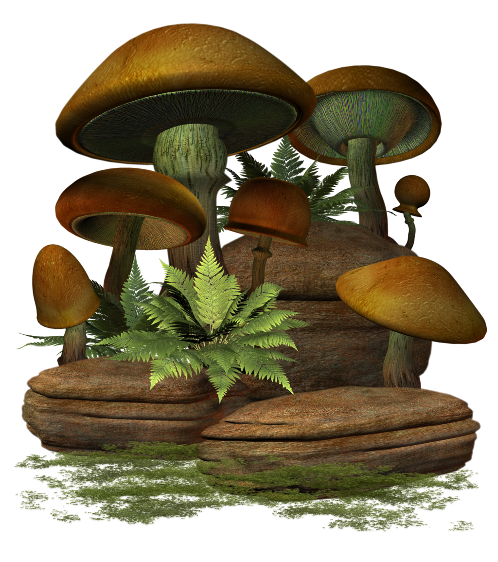 Girls Cocoa Toadstool Broccoli Mushroom PNG