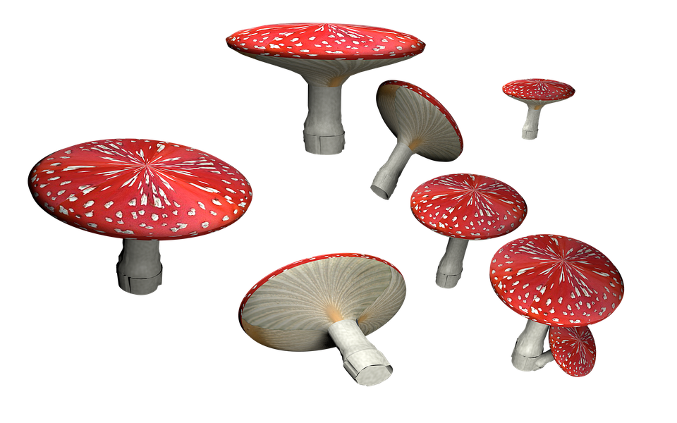 Business Asparagus Cocoa Dinnertime Muscaria PNG