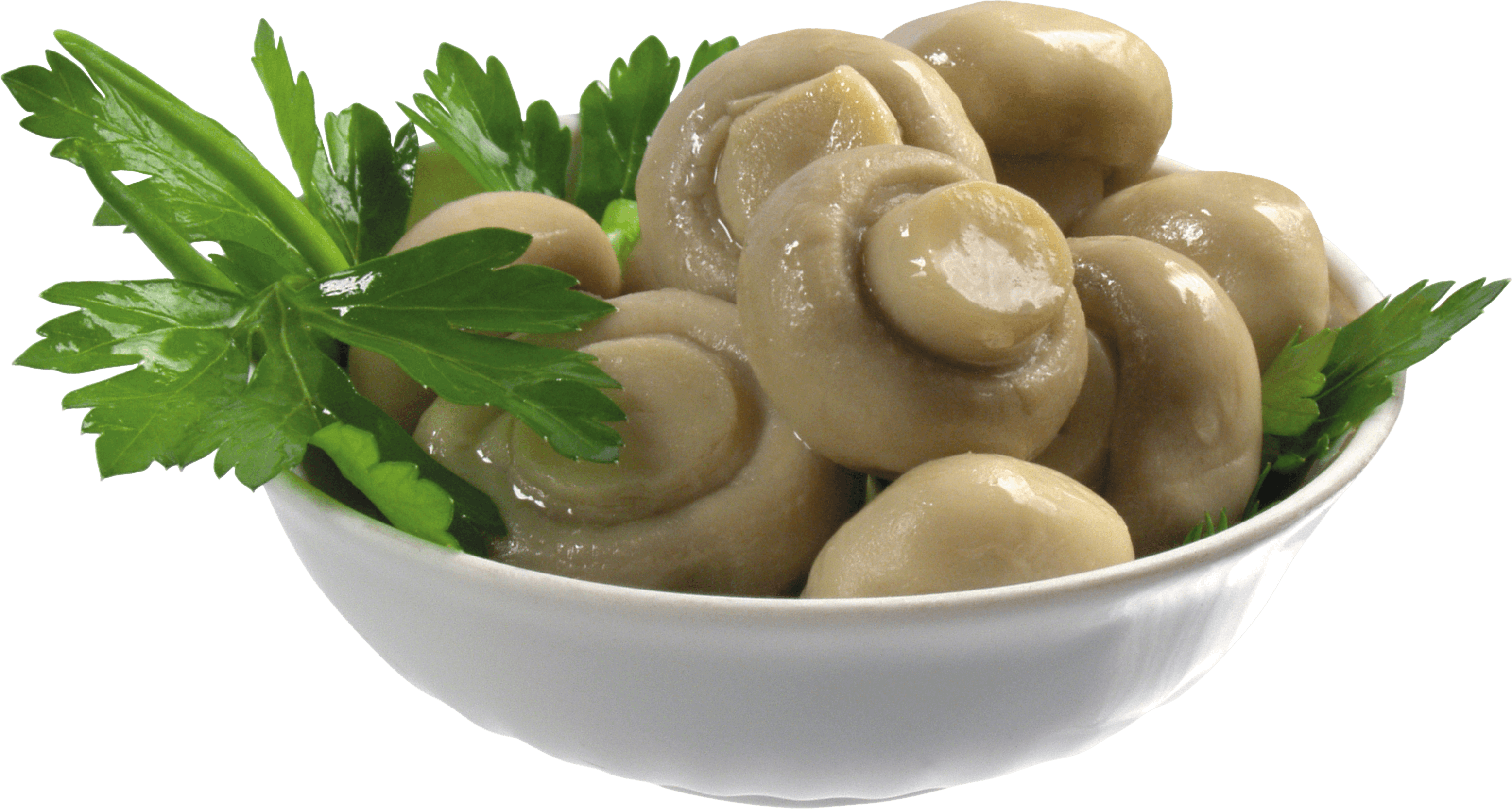 Hot Mushroom Derivatives Shiitake Yeast PNG