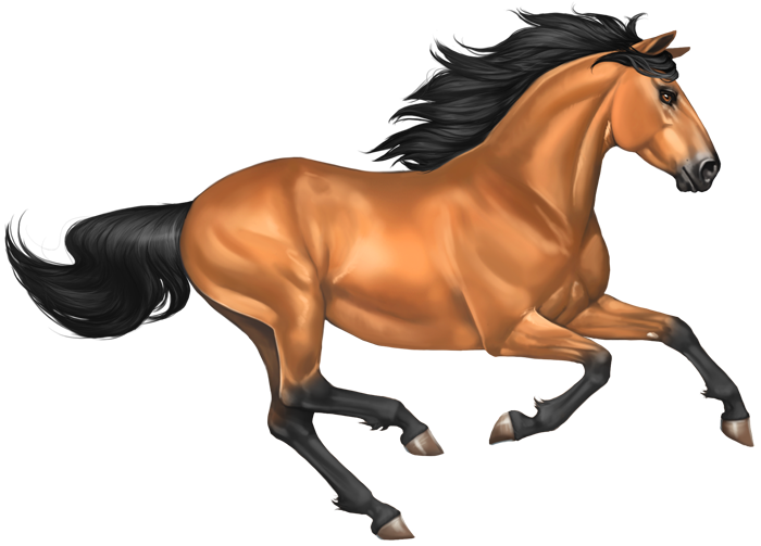 Horse Mustang Steed Bighorn Longhorns PNG