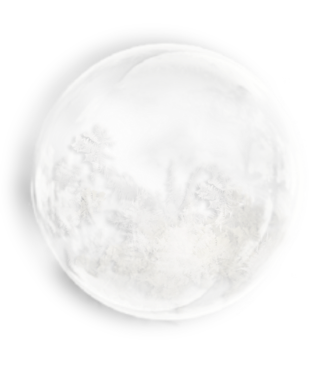White Whether Cosmos Black Circle PNG