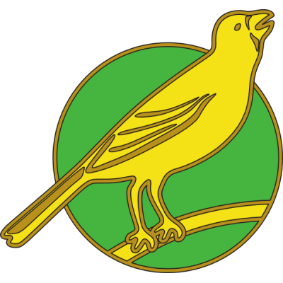 Throw Teams Track Norwich City PNG