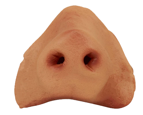 Taste Chaplet Tip Nose Miscellaneously PNG