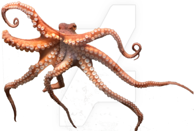 Flakes Sleeping Lizard Octopus Crustacean PNG