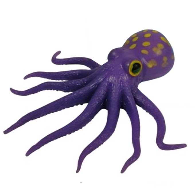 Octopus Penguin Jellyfish Iguana Crustacean PNG