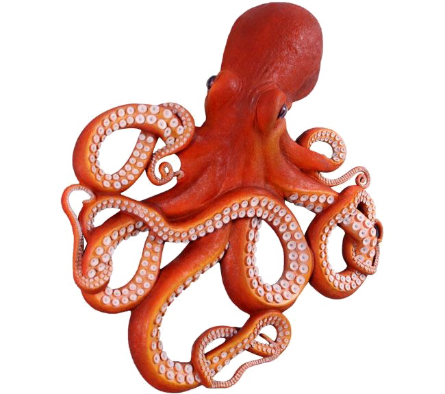 Dolphin Frog Octopus PNG