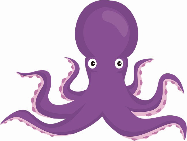 Squid Crustacean Mollusk Octopus PNG