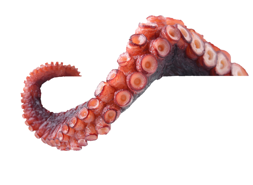 Guppy Tentacles Calamari Crab Octopus PNG