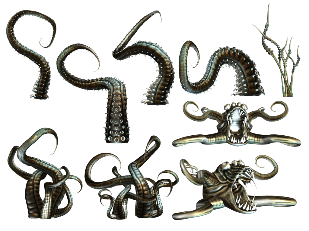 Dolphin Octopus Tentacles PNG