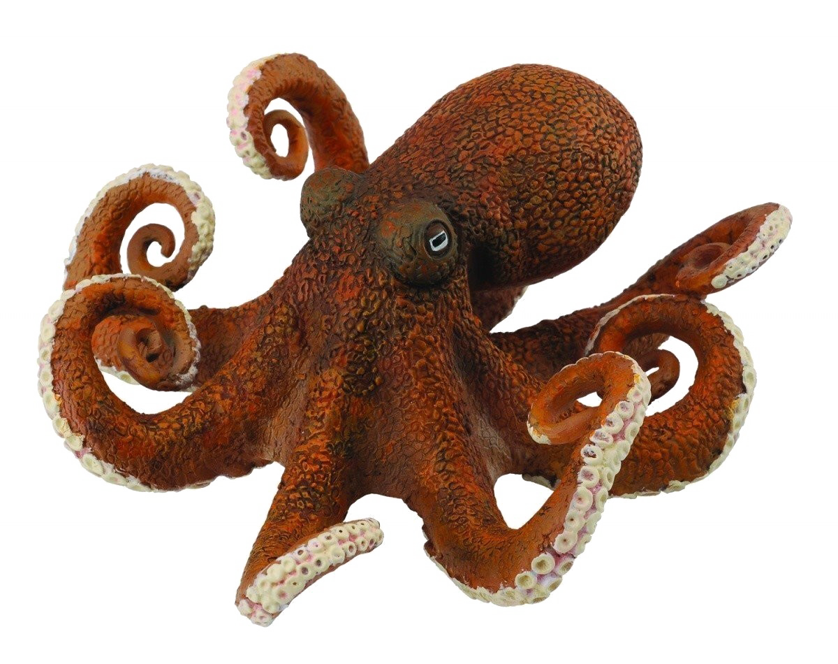 Octopus Frog Goldfish Toy Dust PNG