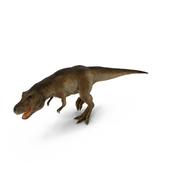 Cuttlefish Theropod Creature Iguana Frog PNG