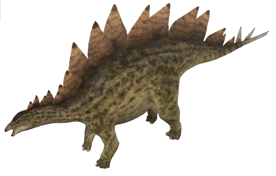 Hen Cuttlefish Chicken Frog Stegosaurus PNG
