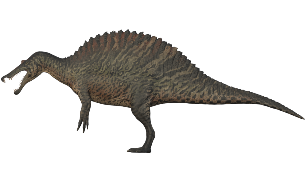 Spinosaurus Mollusk Eel PNG