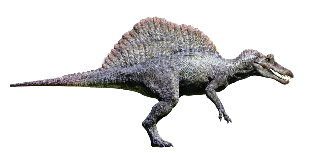 Guppy Hen Chicken Spinosaurus Piranha PNG