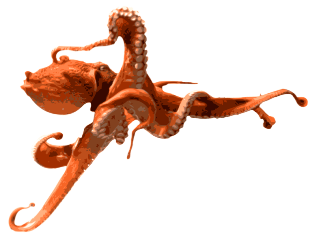 Dolphin Frog Octopus Cat PNG