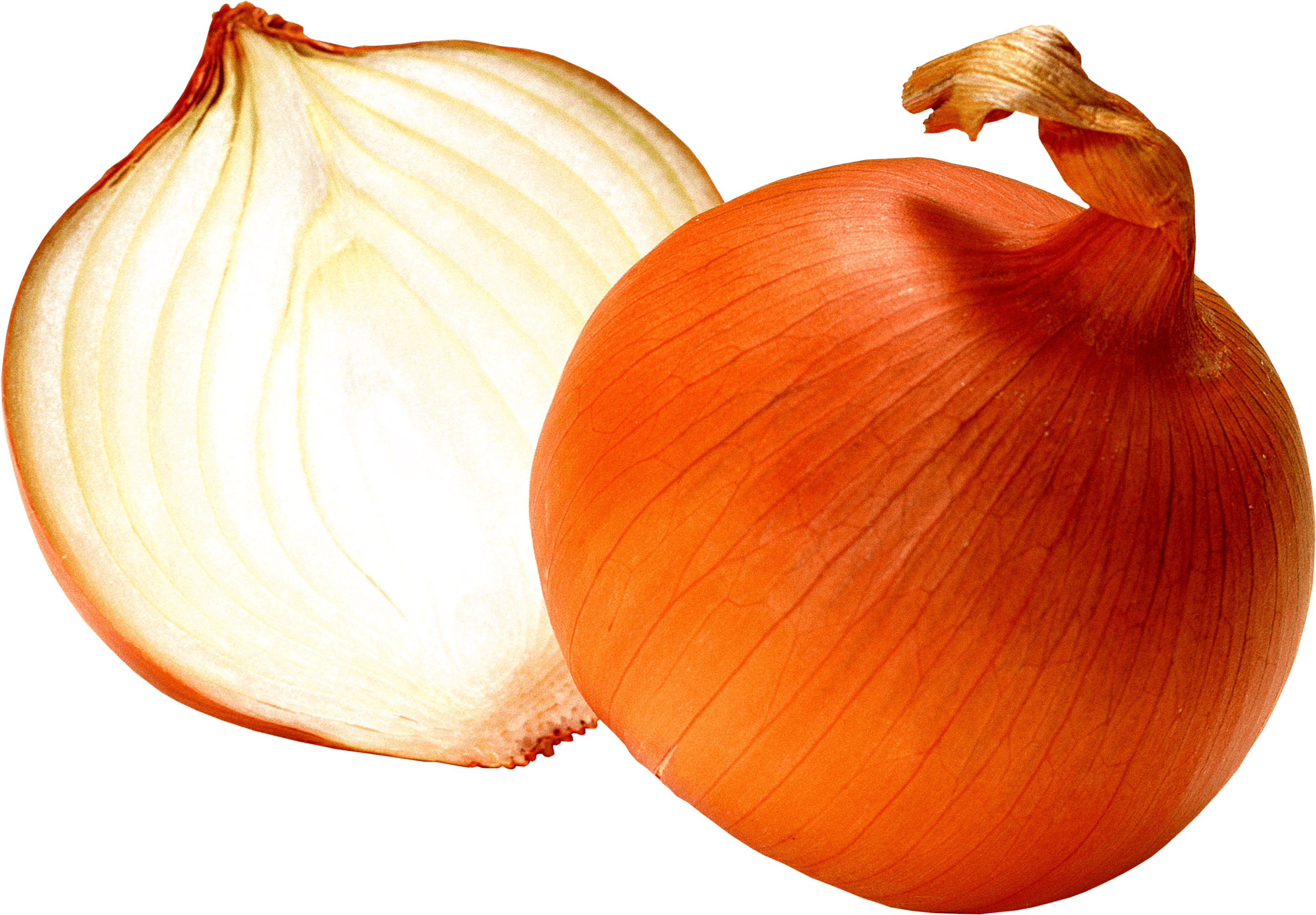 Motivation Recovery Lifestyle Onion Grains PNG