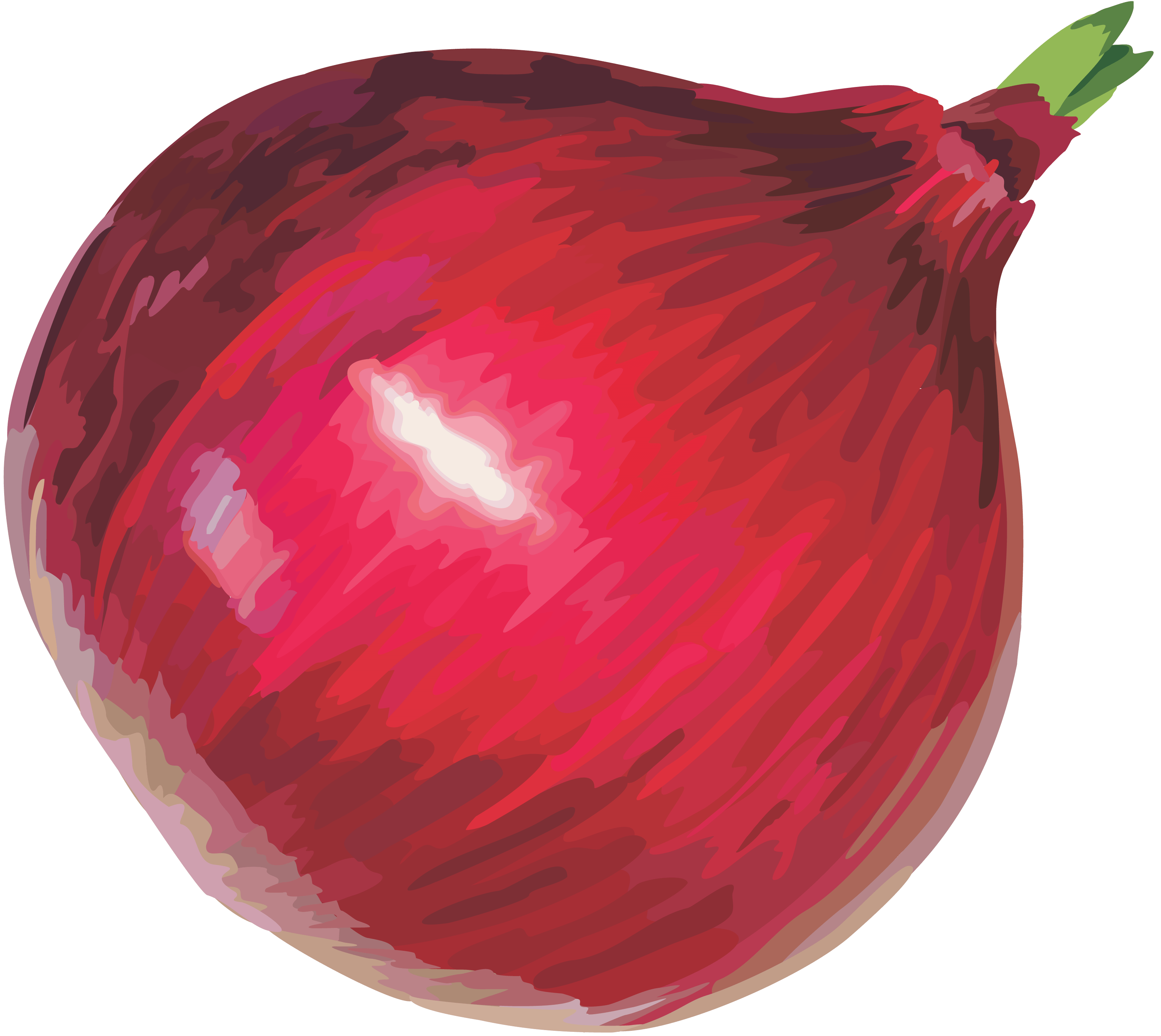 Onion Elite Red Cauliflower Scallion PNG
