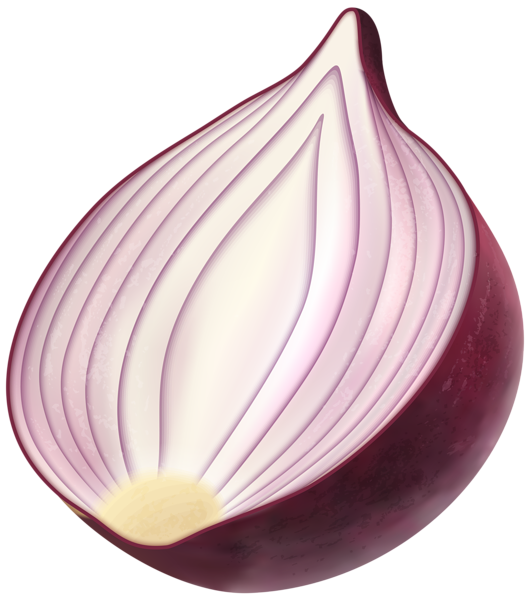 Leeks Vegetables Coriander Onion Almond PNG