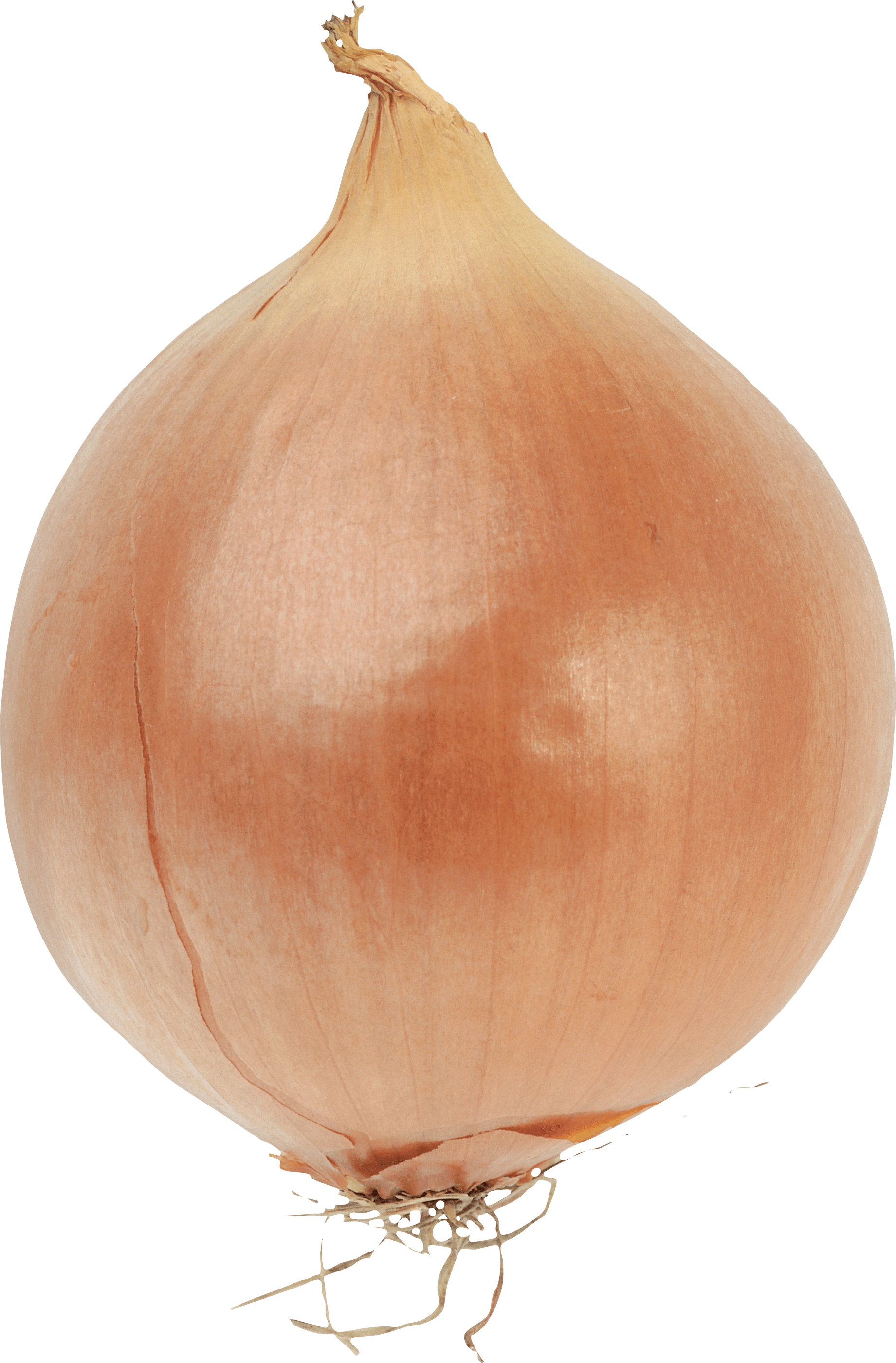Lettuce Onion Leeks Garlic Grains PNG