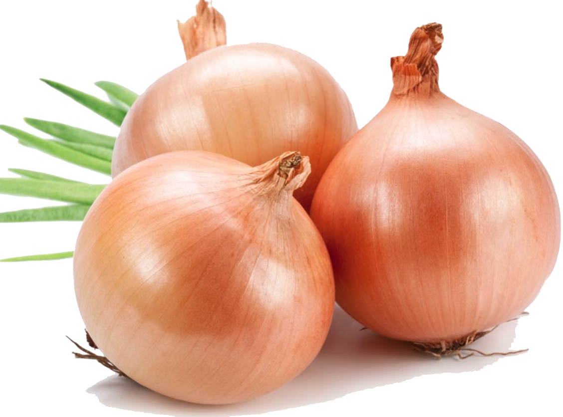 Fats Luxury Grains File Onion PNG