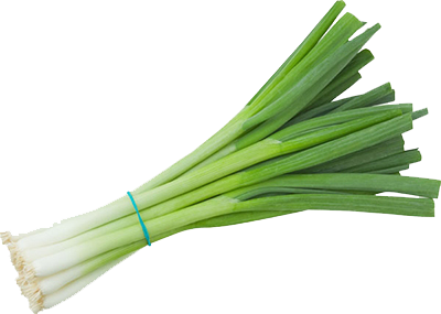 Green Broccoli Fit Business Onion PNG