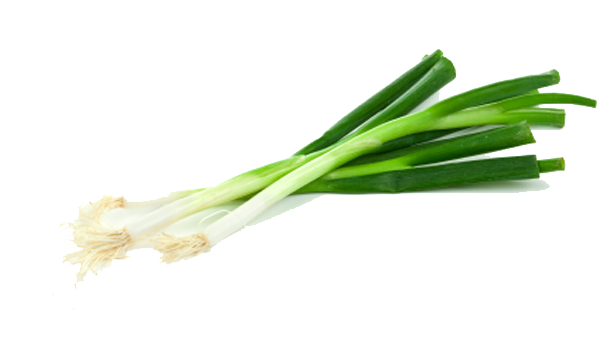 Green Onion Lettuce Corn Cabbage PNG