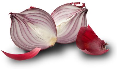 Peppers Radish Entrepreneur Coriander Onion PNG