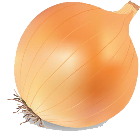Leeks Tomato Onion Scallion Corn PNG
