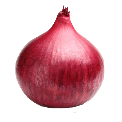 Onion File Fruit Business Red PNG