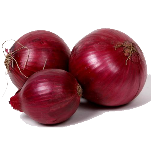 Onion Business Parsley Red Health PNG