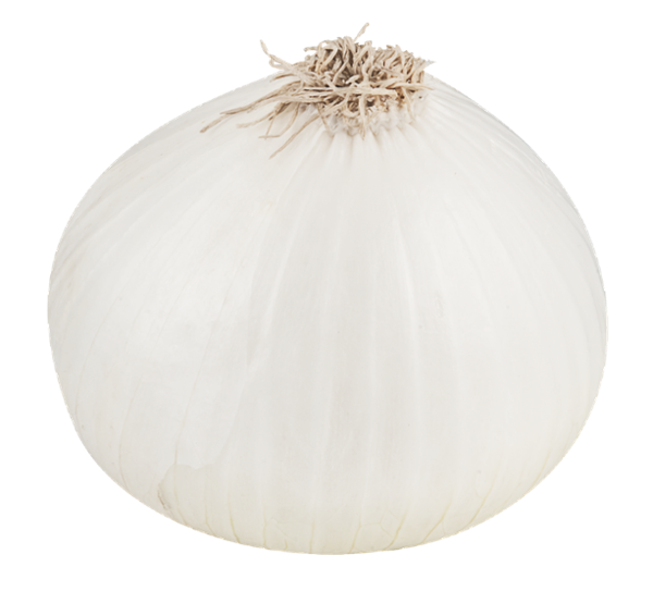 File Shallots Business White Health PNG