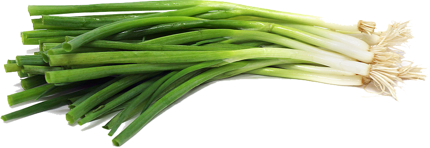 Green Business Onion Spinach File PNG