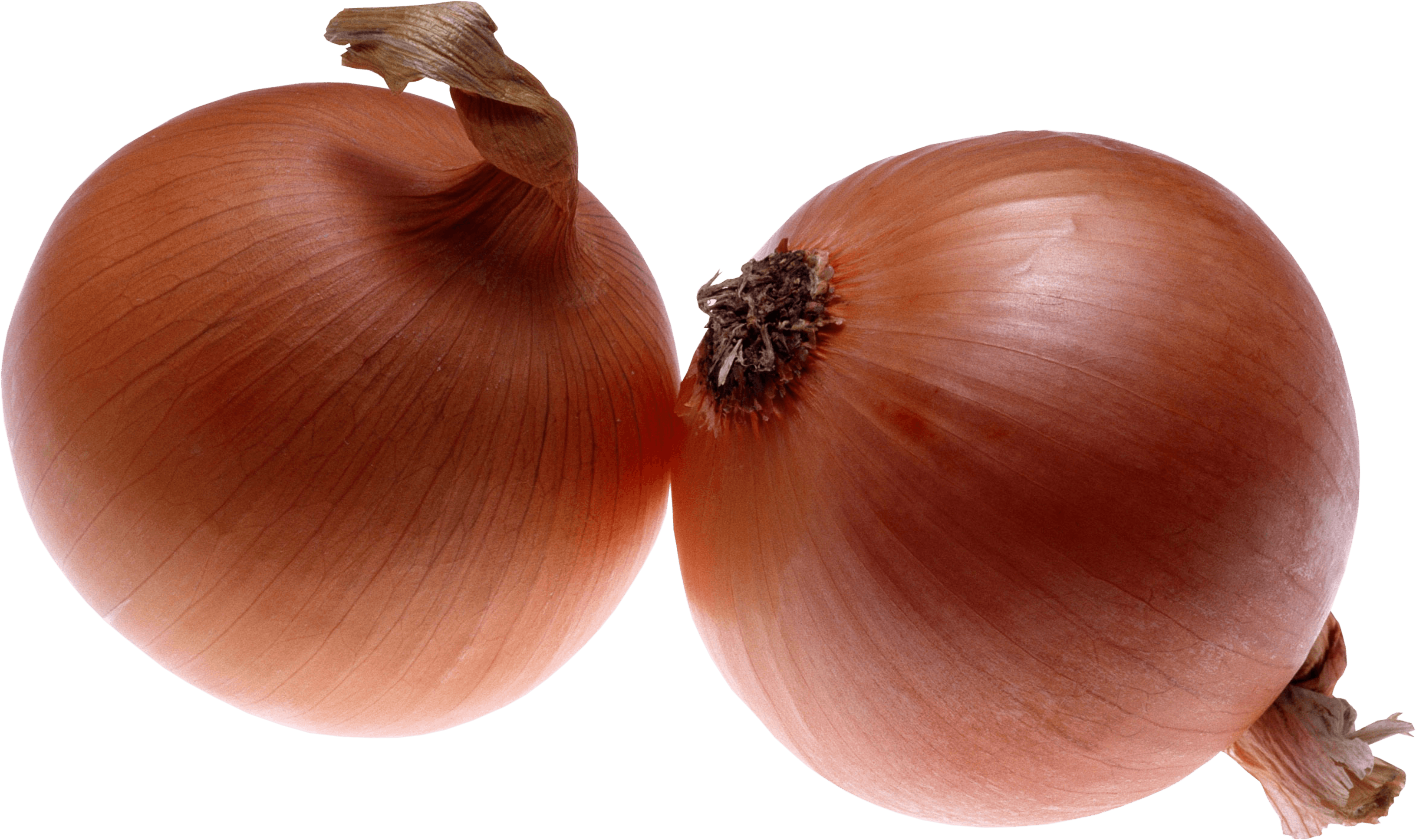 Health Dill Onion Cabbage Exercise PNG