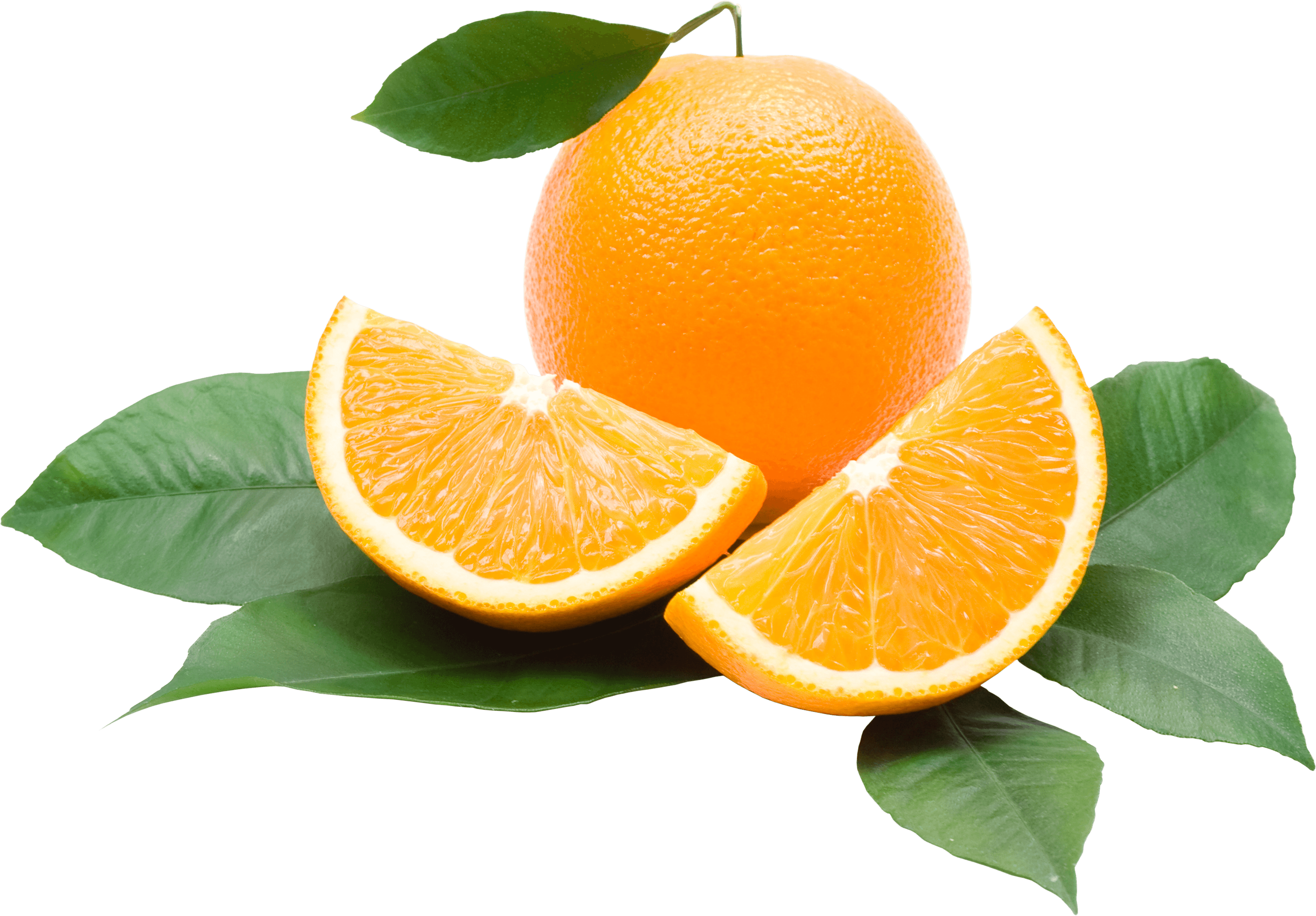 Orangeness Orange Florescent Girly Chromatic PNG