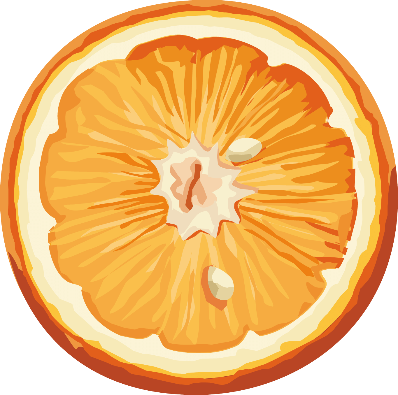 Colored Tour Orangeness Strawberry Amber PNG