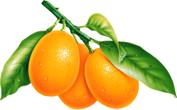 Yellow Red Oranges Oxblood Orangeness PNG