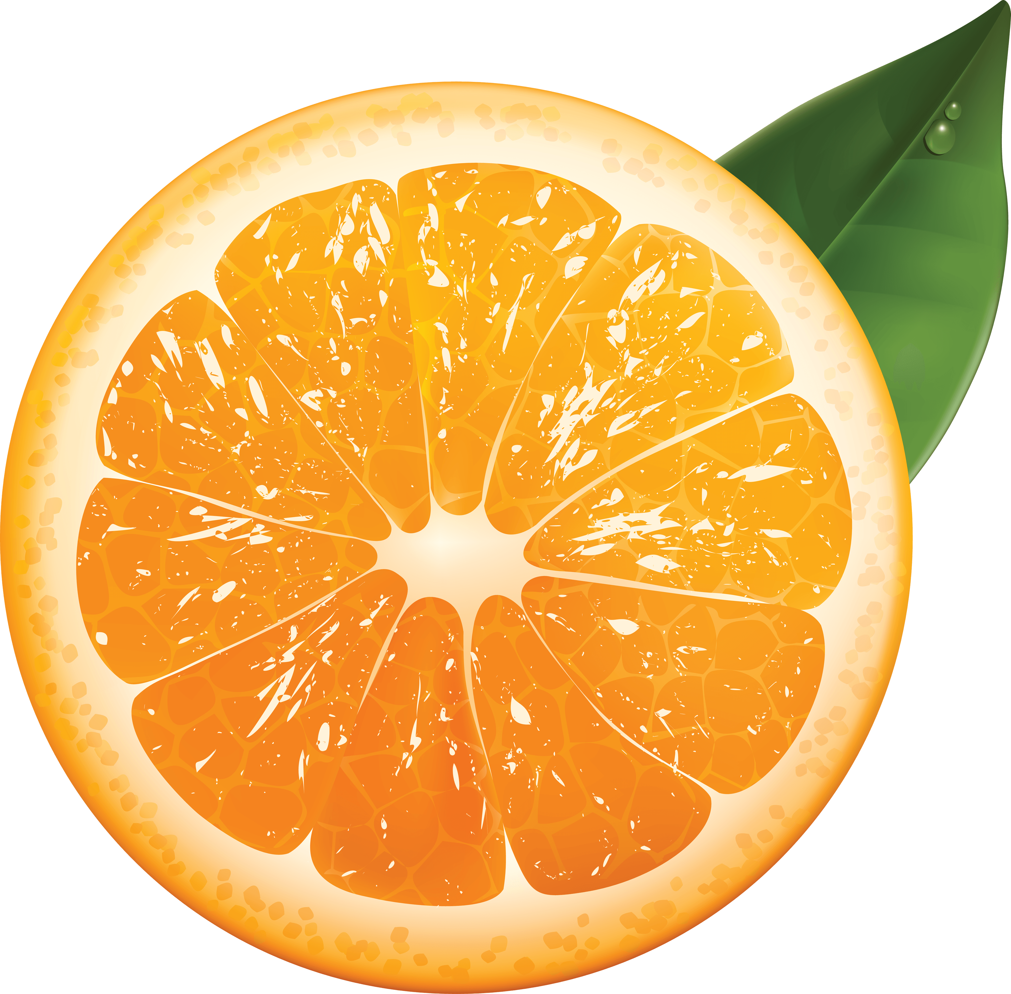 Orangeness Salad Motivation Orange Tangerine PNG