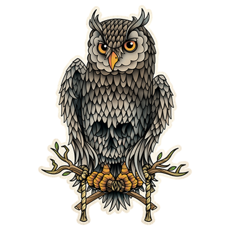 (Tattoo) Tattoo Species Skull Owl PNG