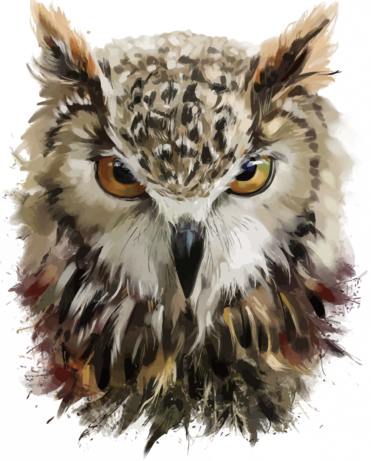 Drawing Bird Painting Owl Beak PNG