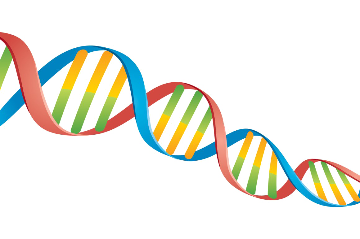 Hurting Dna Affliction Analgesic Painfulness PNG