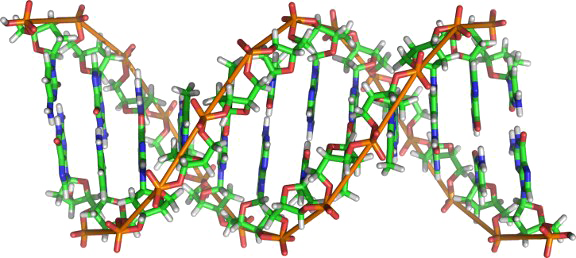 Nausea Afflict Hurting Distress Dna PNG