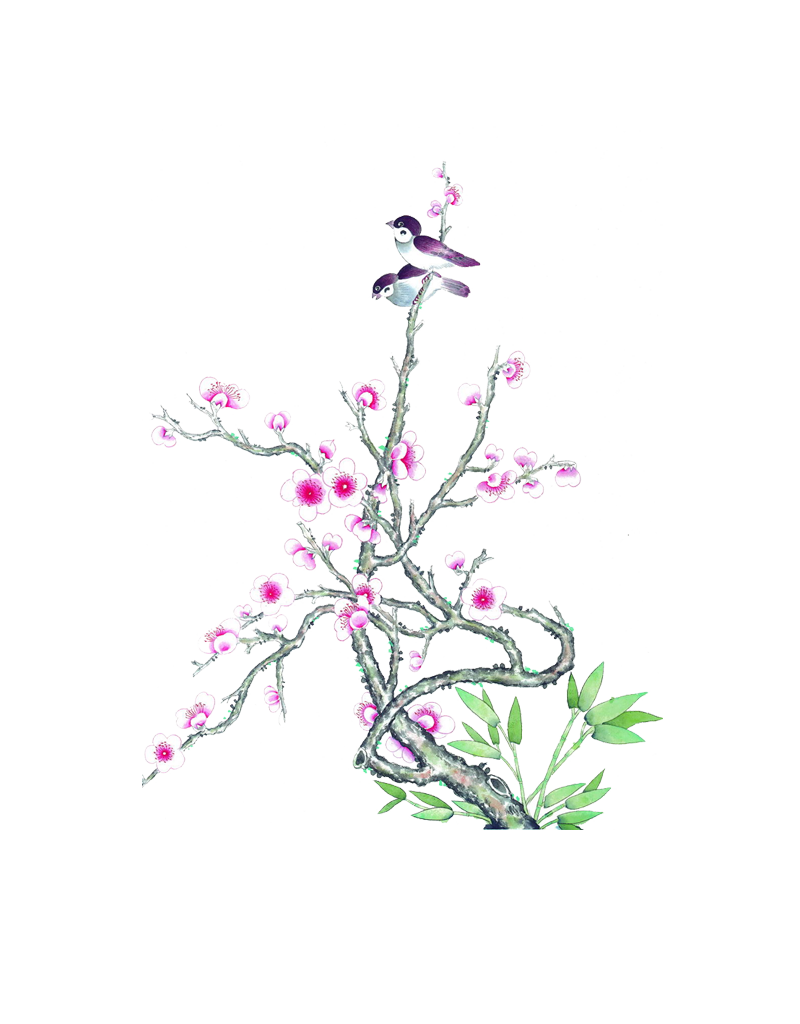 Blossom Plum Ticking Twig Drawing PNG